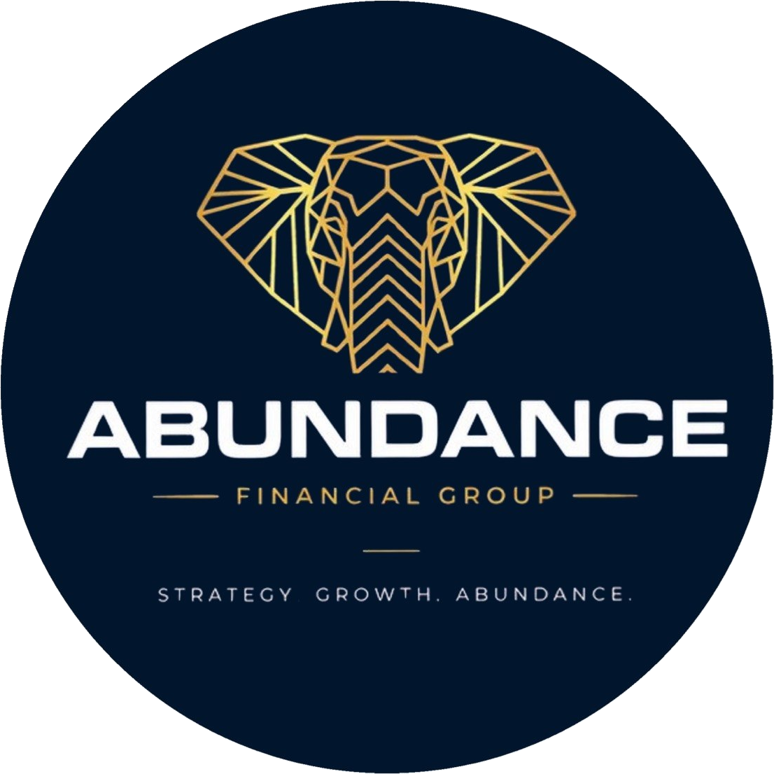 Abundance Financial Group